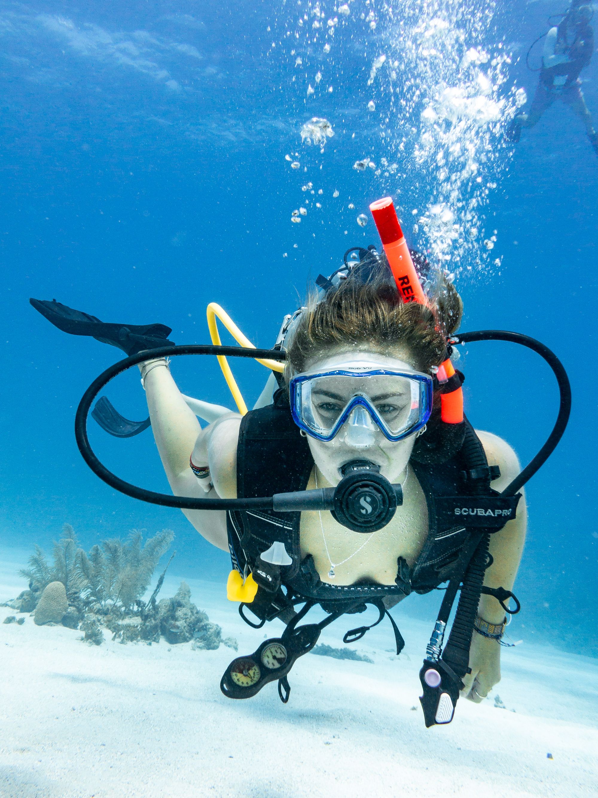 Data Analysis and Diving Courses