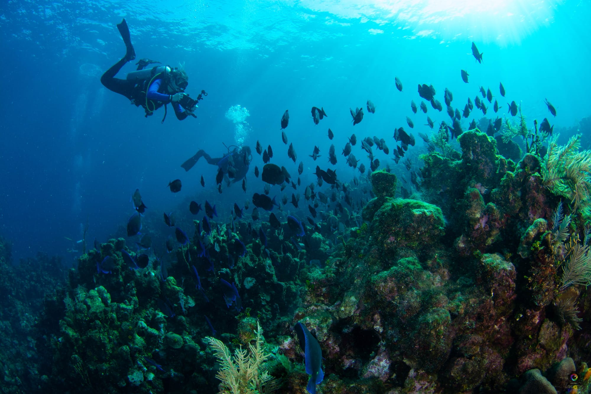 Roatán and Utila